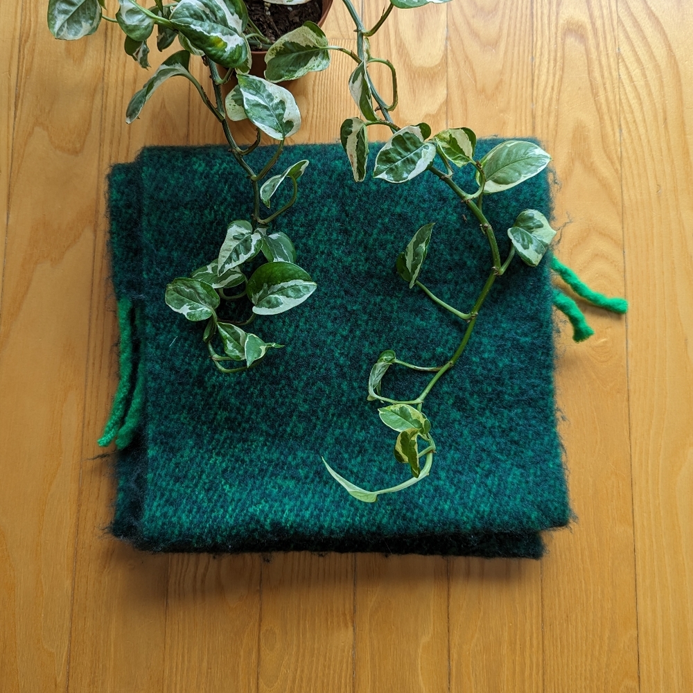 🌵Green scarf